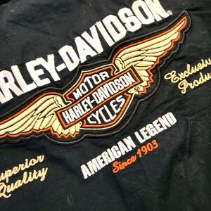 Harley Davidson Embroidered Shirt Women's Size XL